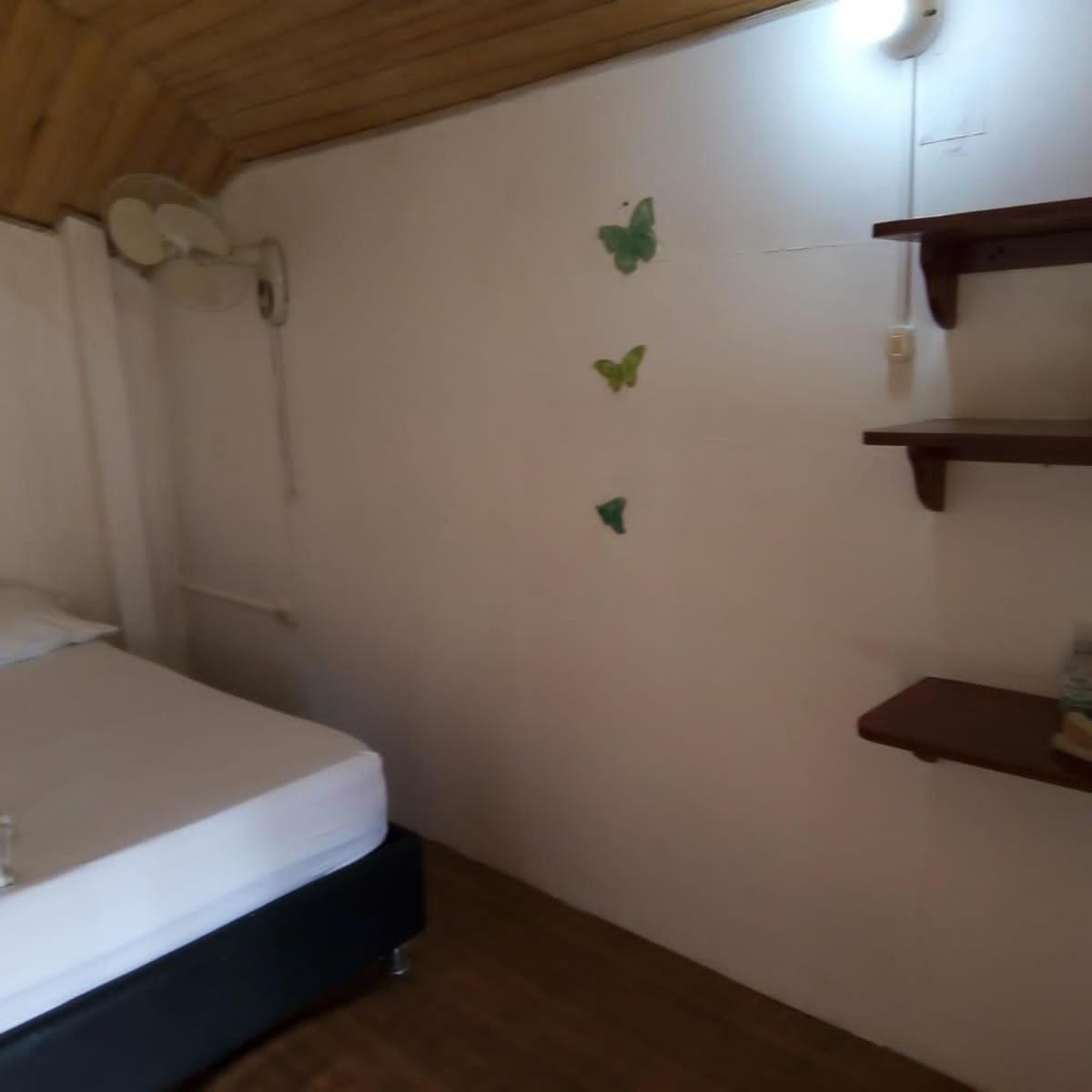 Hostal Paloma Cafe Palomino Bagian luar foto